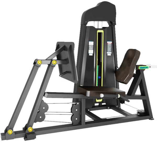 Seated Leg Press Machine