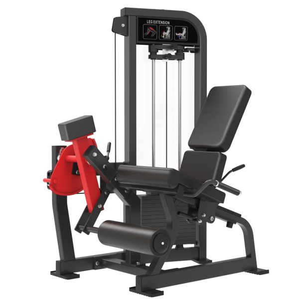 SEATED LEG EXTENSION