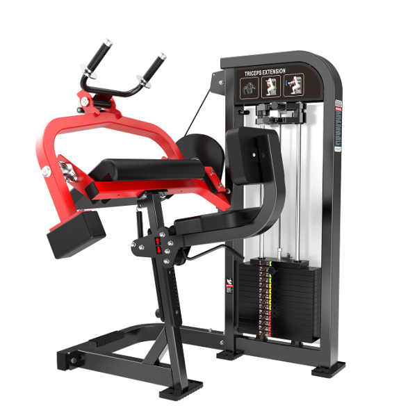 Tricep Arm Extension