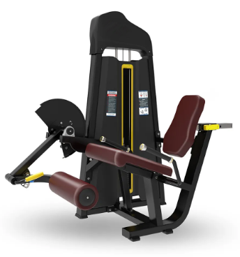 Leg Extension