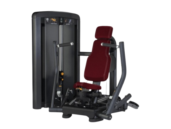 Chest Press