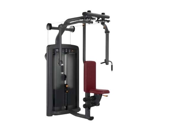 Pectoral Fly/Rear Deltoid