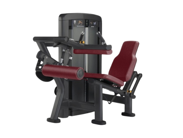Seated Leg Curl
