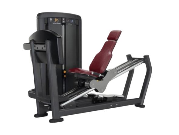 Seated Leg Press