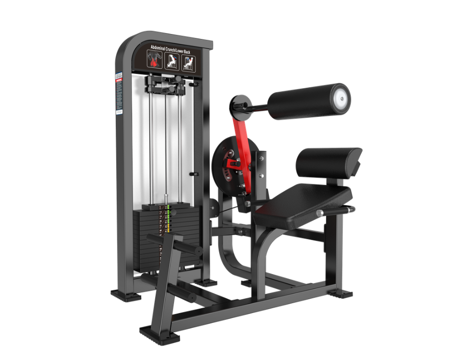 ABDOMINAL CRUNCH / LOWER BACK