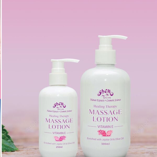 Shello Booklet 1 (2)-11 -by MaxAI