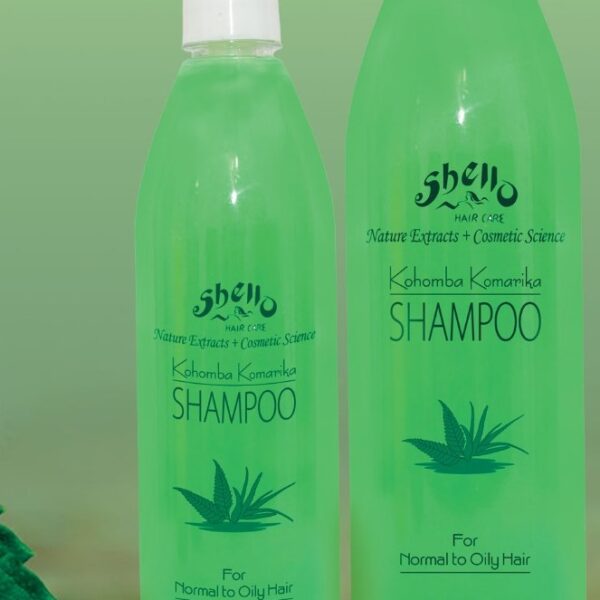 Shello Booklet 1 (2)-13 -by MaxAI