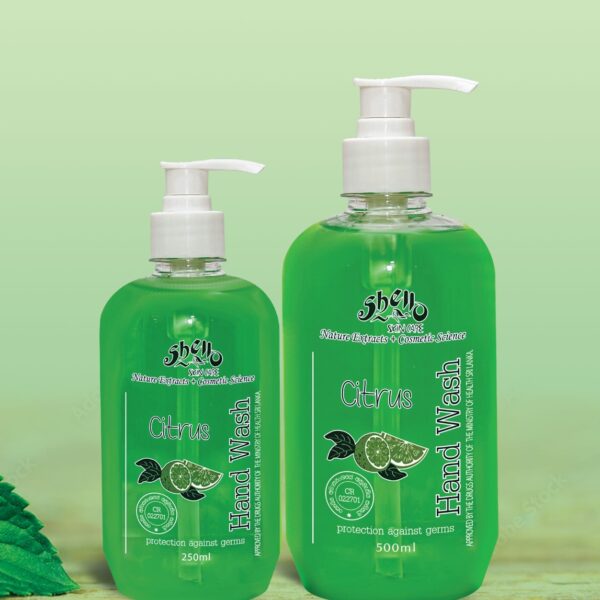 Shello Booklet 1 (2)-4 -by MaxAI