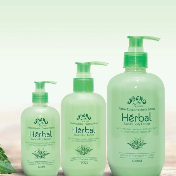 Shello Booklet 1 (2)-4 -by MaxAI - Copy