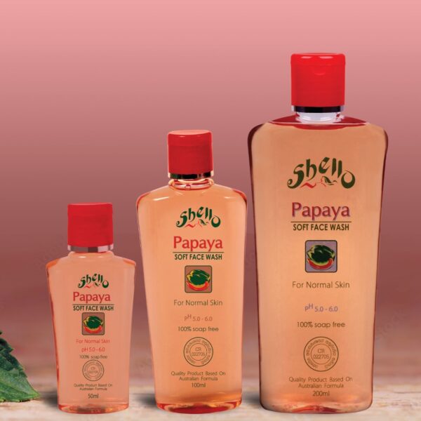 Shello Booklet 1 (2)-5 -by MaxAI - Copy