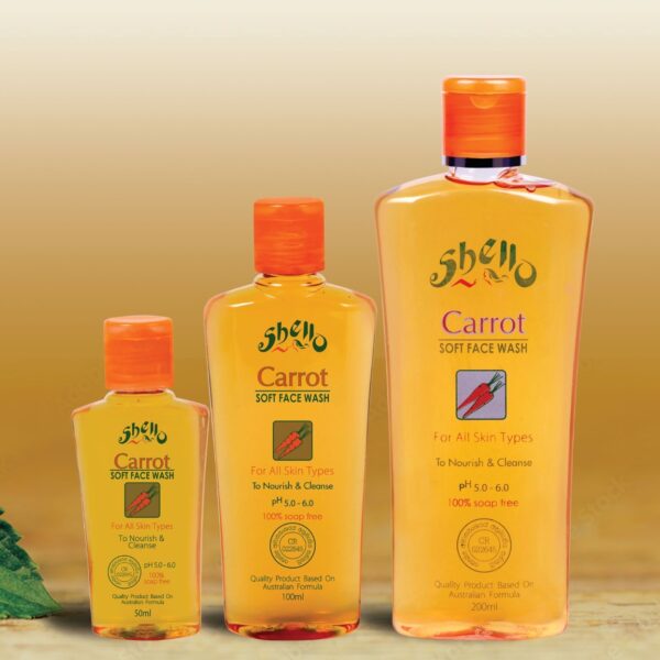 Shello Booklet 1 (2)-7 -by MaxAI - Copy