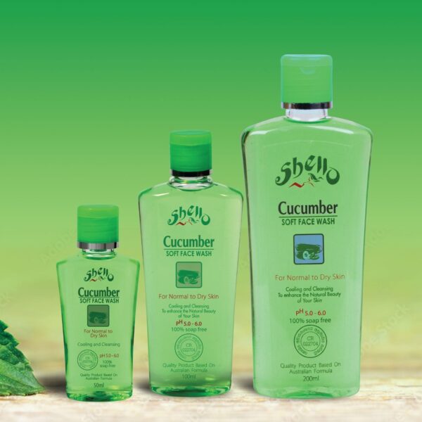 Shello Booklet 1 (2)-8 -by MaxAI