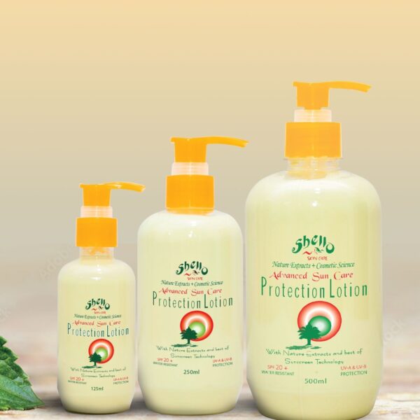 Shello Booklet 1 (2)-9 -by MaxAI