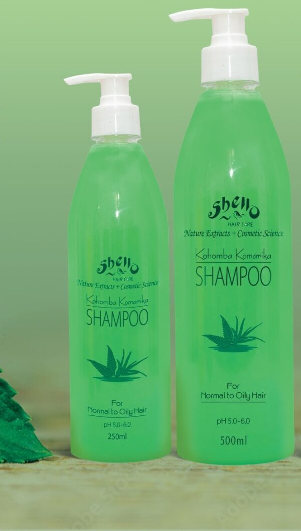 Shello Booklet 1 (2)-13 -by MaxAI