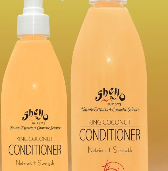 Shello Booklet 1 (2)-14 -by MaxAI - Copy