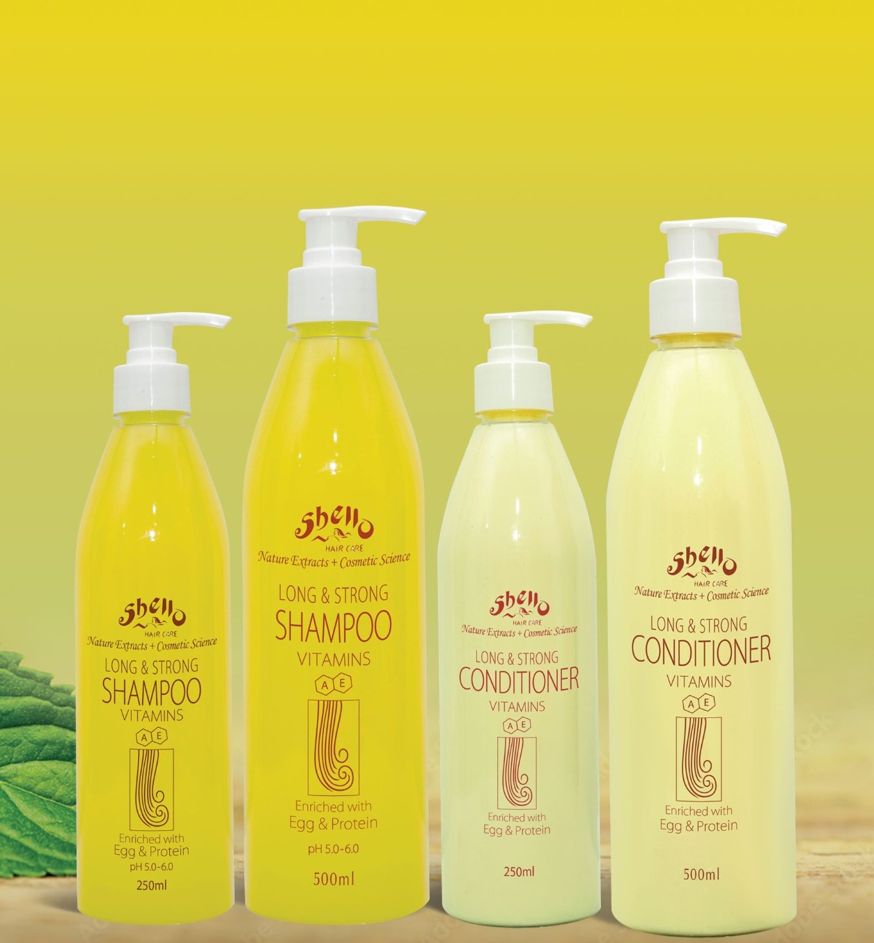 Shello Booklet 1 (2)-15 -by MaxAI