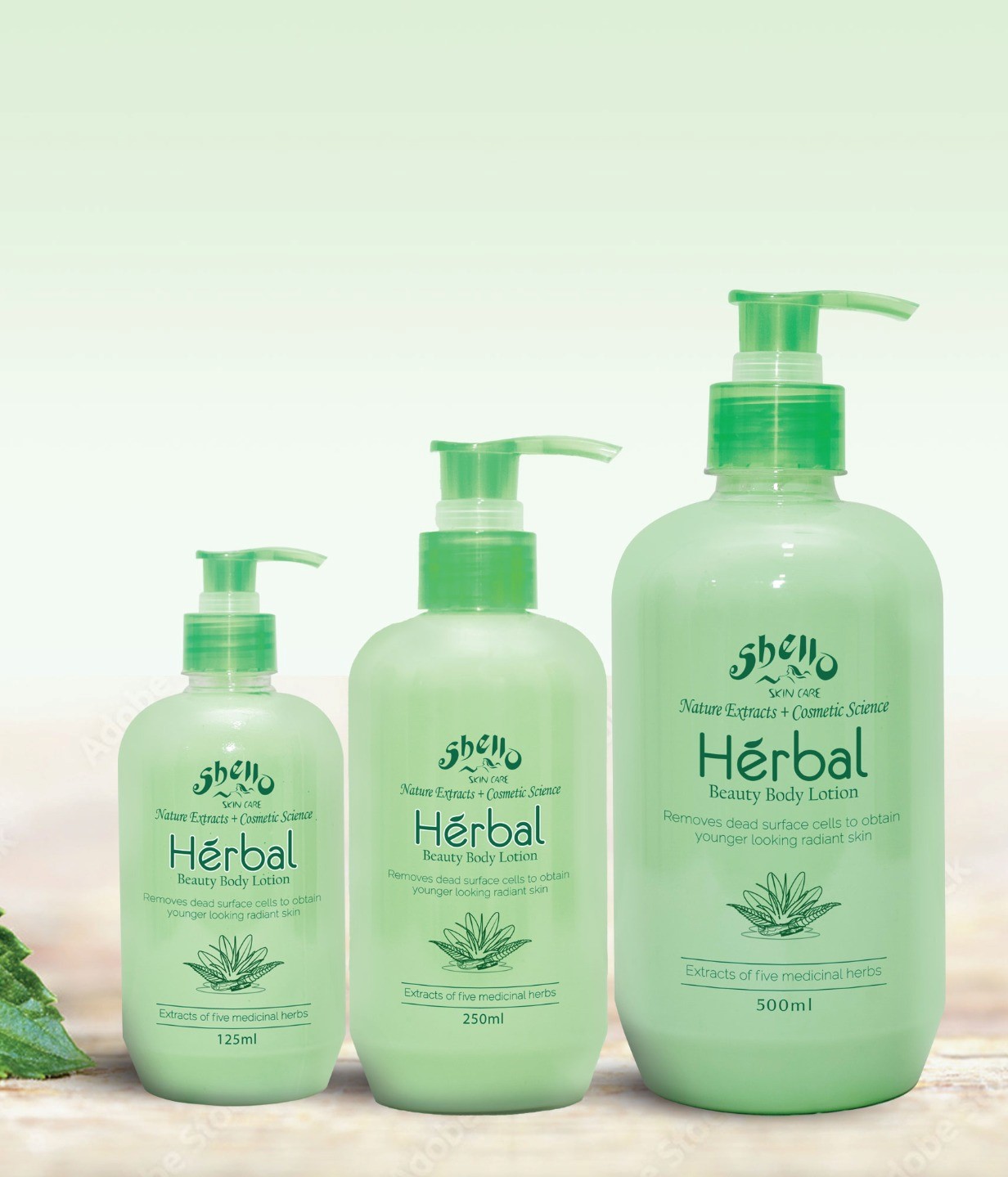 Shello Booklet 1 (2)-4 -by MaxAI - Copy