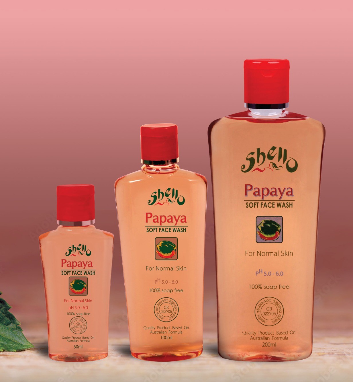 Shello Booklet 1 (2)-5 -by MaxAI - Copy