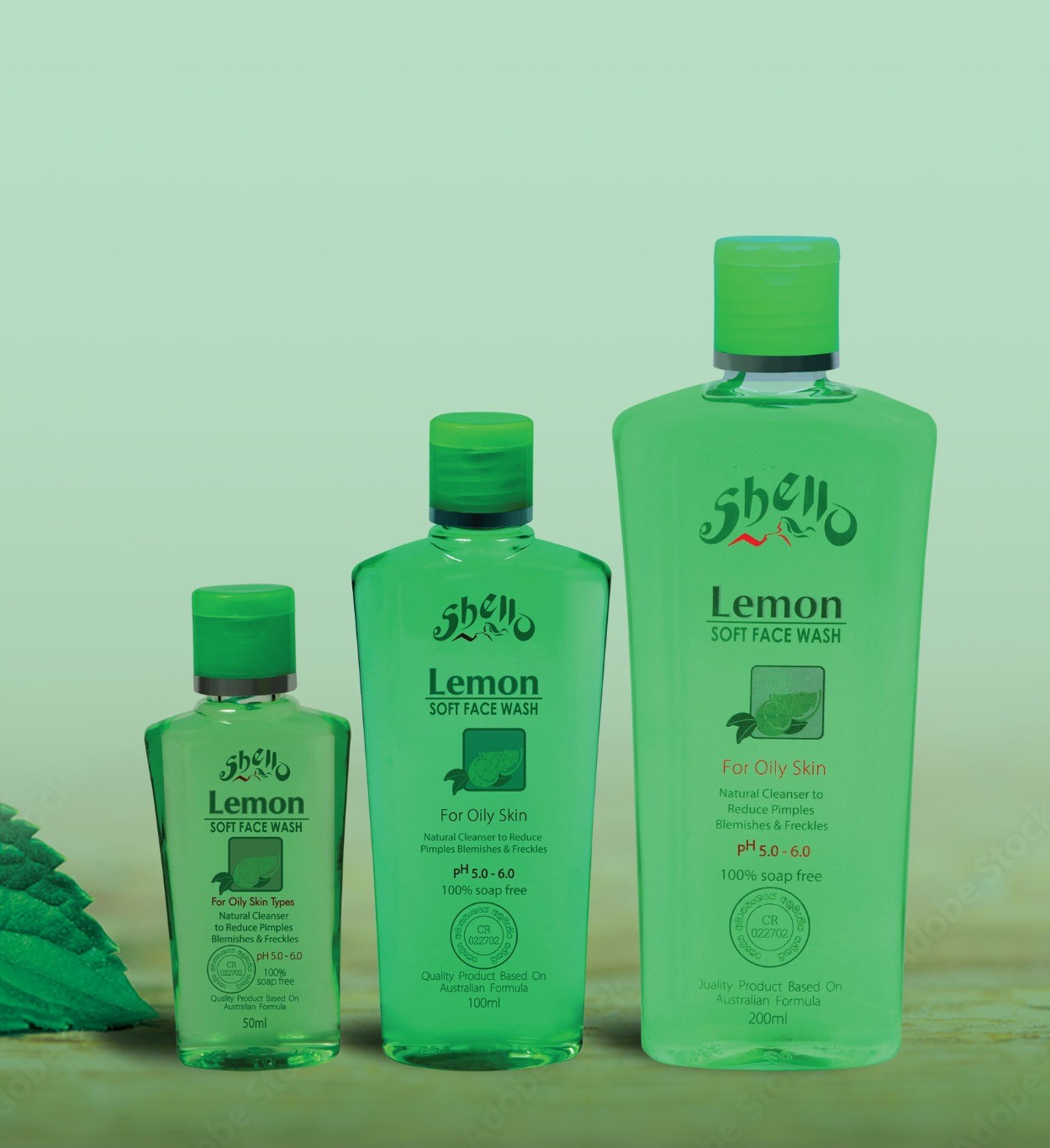 Shello Booklet 1 (2)-9 -by MaxAI - Copy